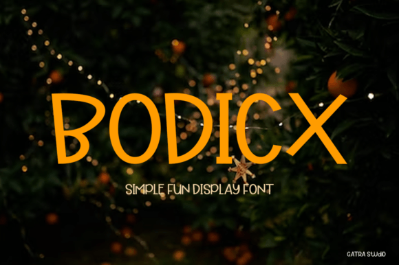 Bodicx Font: A Modern and Fun Display Typeface for Makers