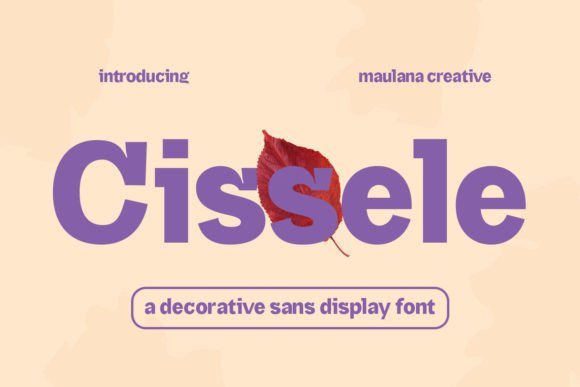 Cissele Display Font for Small Business Branding