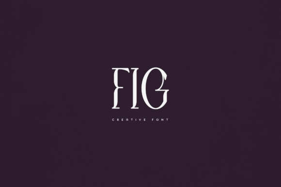 Fig: An Elegant Display Font for Standout Campaign Typography