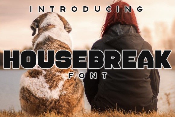 Housebreak Display Font for Handmade Creators