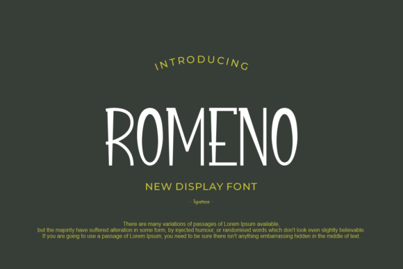Romeno: A Cool Modern Display Font for Scroll-Stopping Visuals