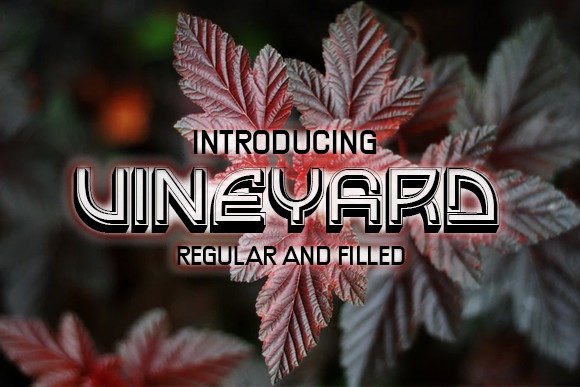 Vineyard: A Stylish Multi-3D Display Typeface for Digital Branding